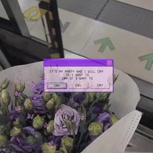 日本区一区二视频
